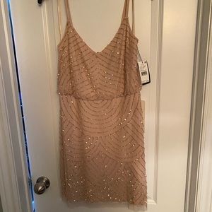 Adrianna Papell mini blush dress and sparkle